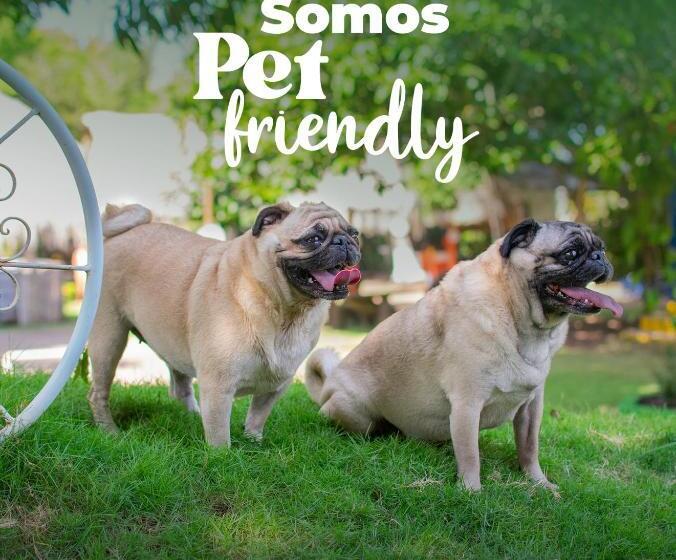 패밀리 룸, Cabañas Los Venaos