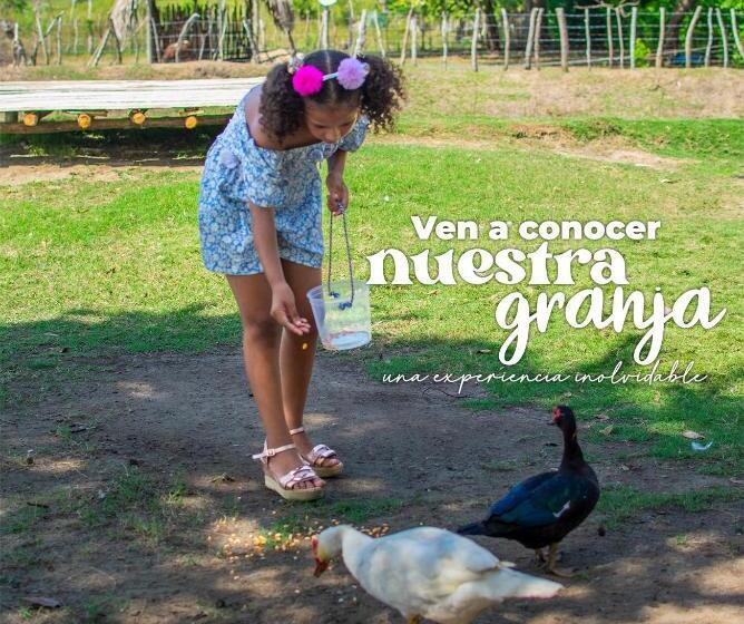 패밀리 룸, Cabañas Los Venaos