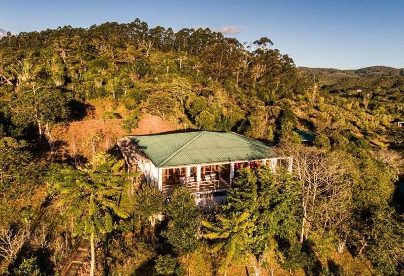 Chambre Familiale, Eulophiella