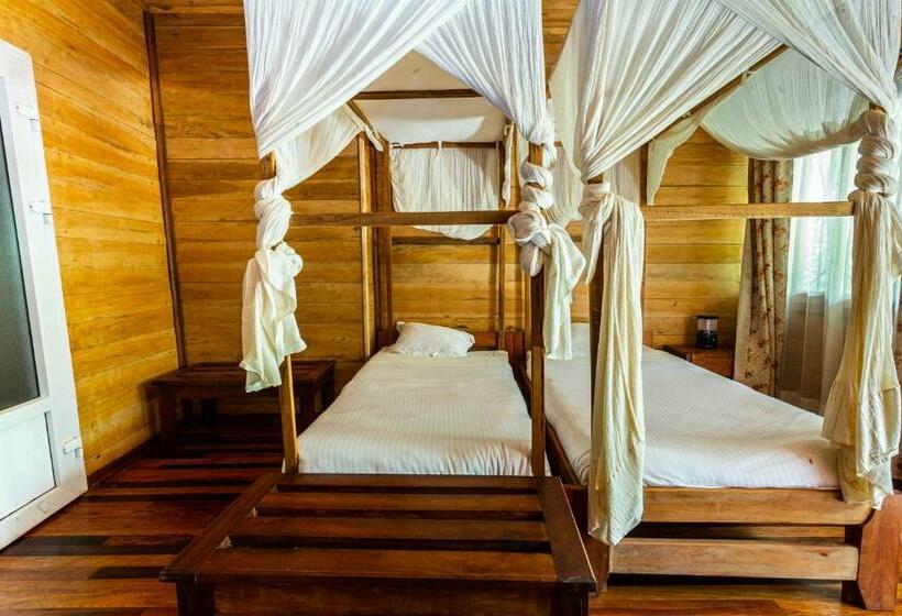 Chambre Familiale, Eulophiella