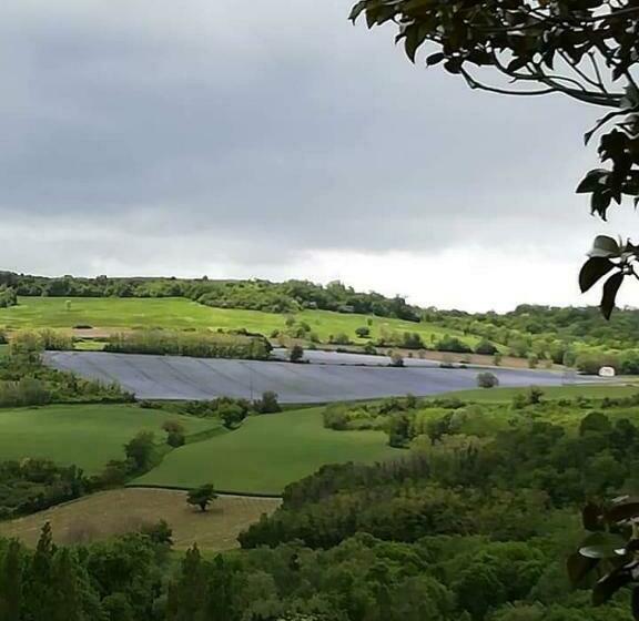 غرفة قياسية, Chambre Chez Mamie Do