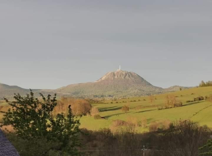 غرفة قياسية, Chambre Chez Mamie Do