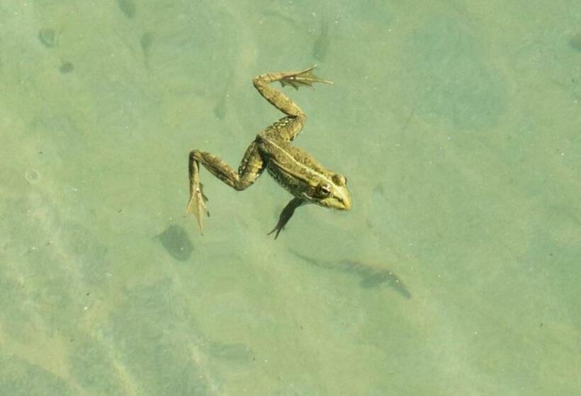 침실 1개 주택, Quinta De São Pedro