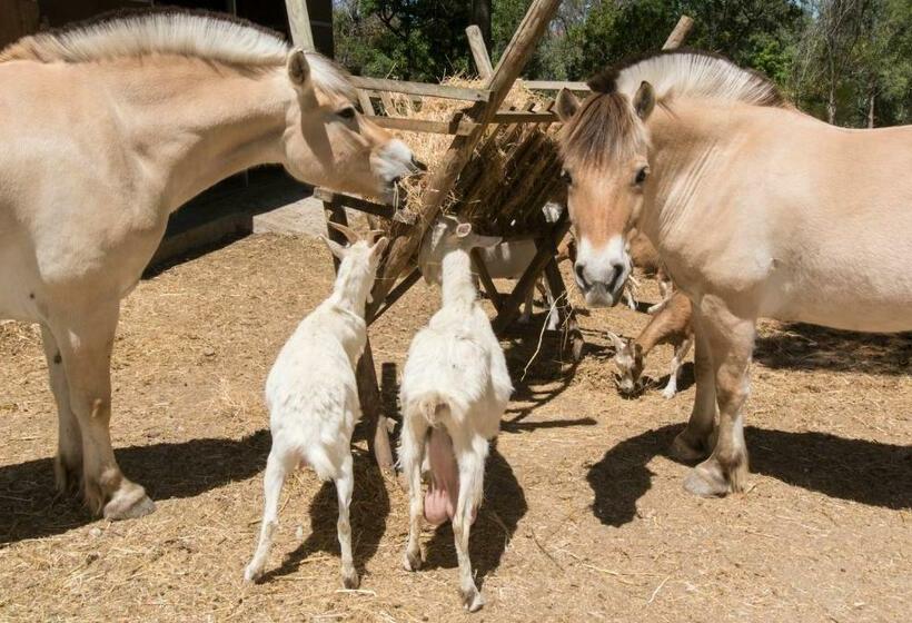 침실 1개 주택, Quinta De São Pedro