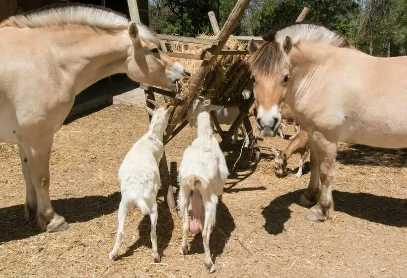 Talo 1 Makuuhuone, Quinta De São Pedro