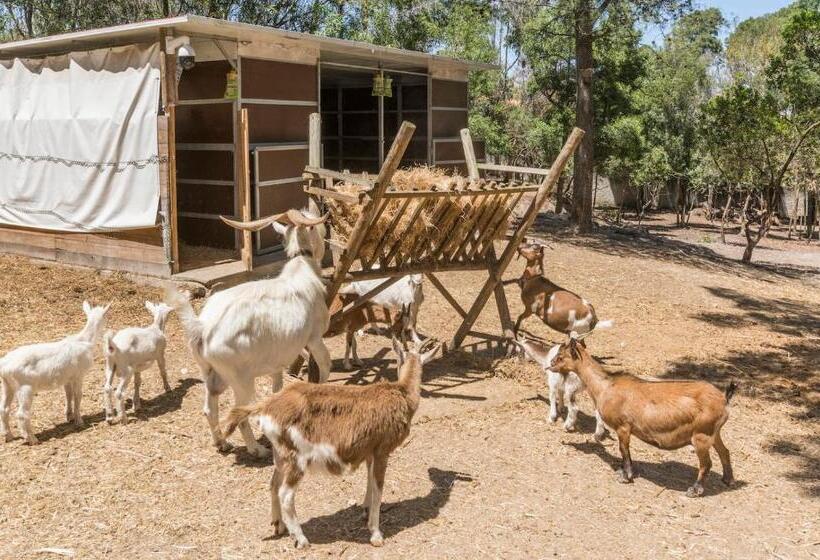 패밀리 룸, Quinta De São Pedro