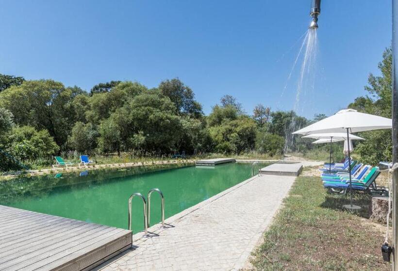 패밀리 룸, Quinta De São Pedro