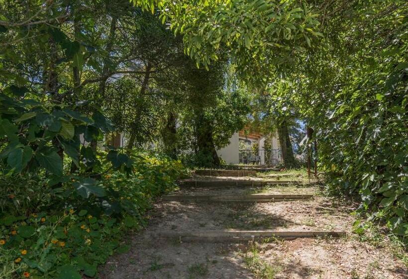 Семейный Номер Вид на Сад, Quinta De São Pedro
