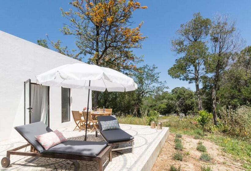 Студия Стандарт, Quinta De São Pedro