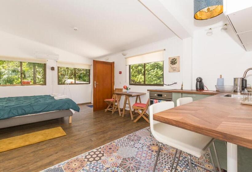 스탠다드 스튜디오, Quinta De São Pedro