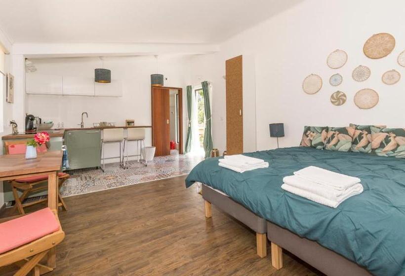 스탠다드 스튜디오, Quinta De São Pedro