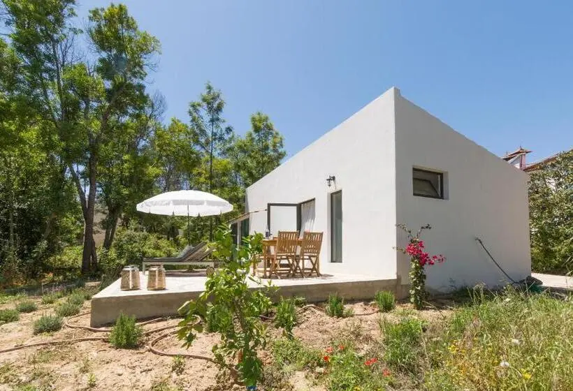 Standard-studio, Quinta De São Pedro