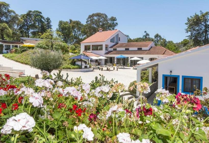 침실 1개 주택, Quinta De São Pedro