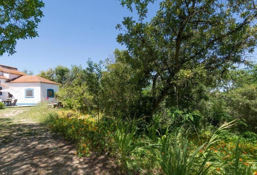 Семейный Номер Вид на Сад, Quinta De São Pedro