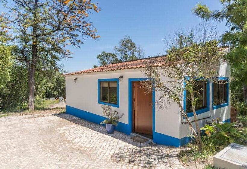 스탠다드 스튜디오, Quinta De São Pedro