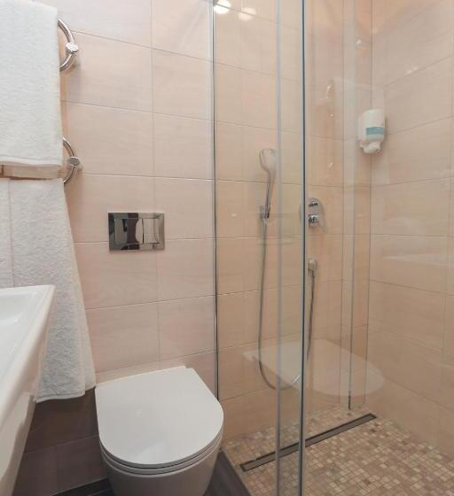 اتاق عادی, Branša