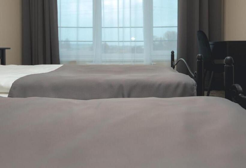 اتاق استاندارد, Branša