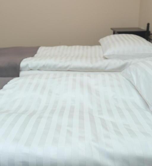 اتاق استاندارد, Branša