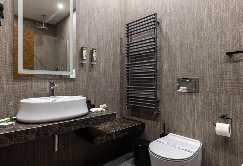 اتاق استاندارد با بالکن, Crona Spa Karpaty