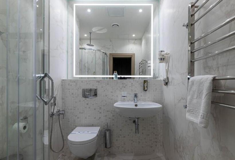 اتاق استاندارد, Crona Spa Karpaty