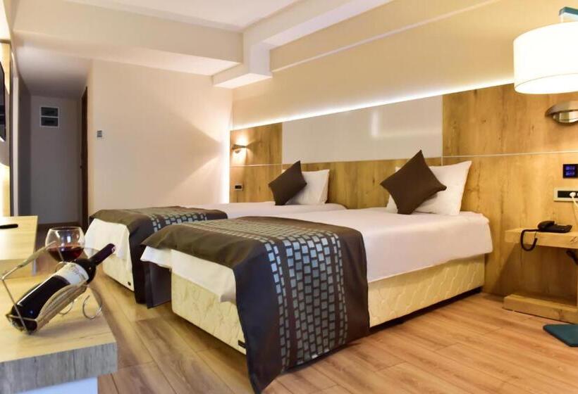 חדר סטנדרט, Agaoglu Otel