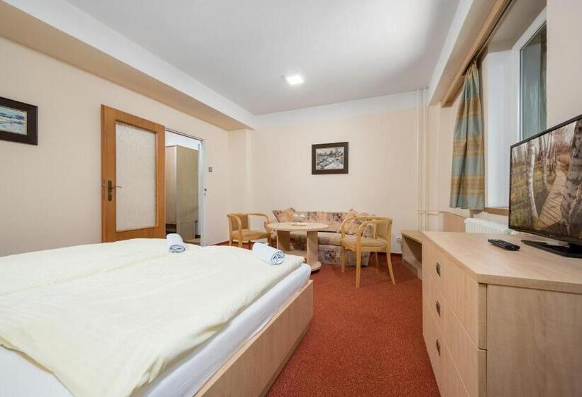 اتاق استاندارد, Horský Hotel Jelínek