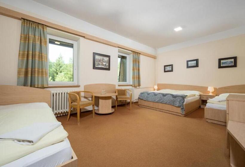 اتاق استاندارد سه نفره, Horský Hotel Jelínek