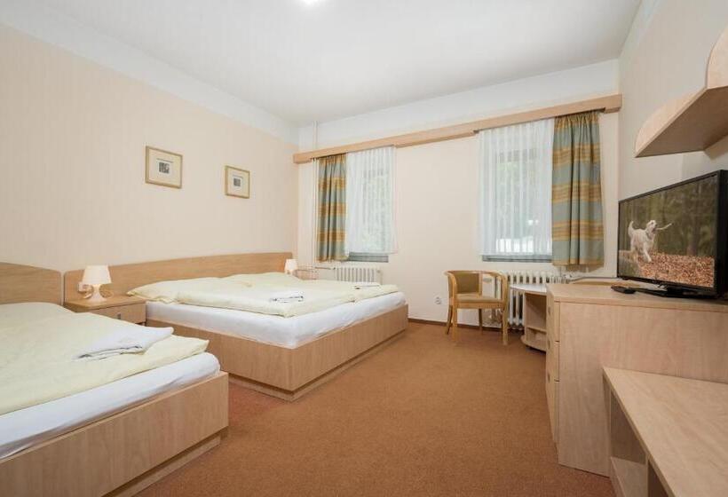 اتاق استاندارد چهار تخته, Horský Hotel Jelínek