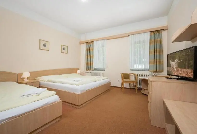 スタンダード４人部屋, Horský Hotel Jelínek