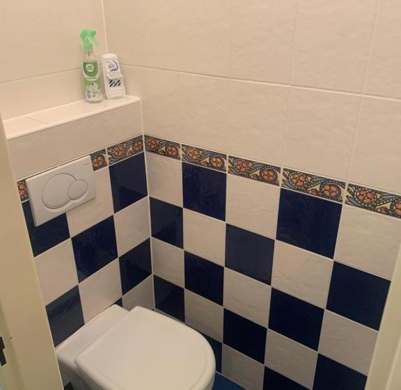 آپارتمان 1 خوابه با بالکن, Horský Hotel Jelínek