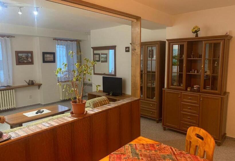 آپارتمان 1 خوابه با بالکن, Horský Hotel Jelínek