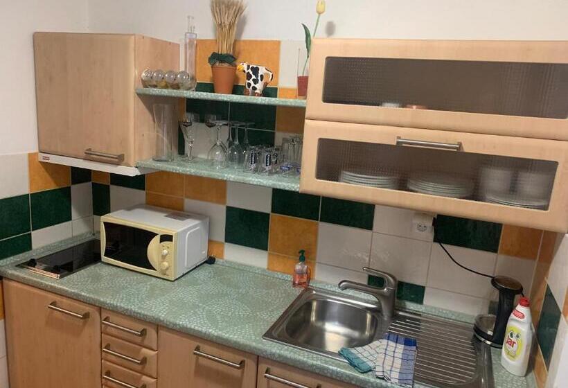 آپارتمان 1 خوابه با بالکن, Horský Hotel Jelínek