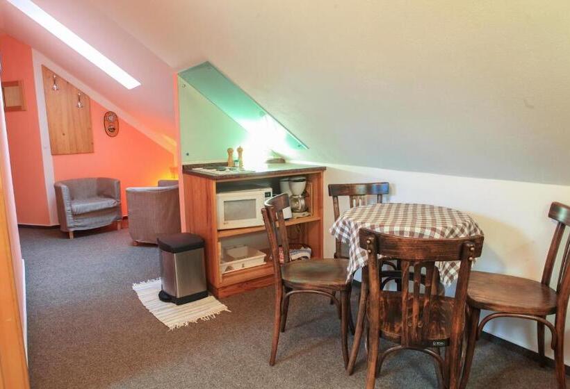 דירת שני חדרים, Penzion čas