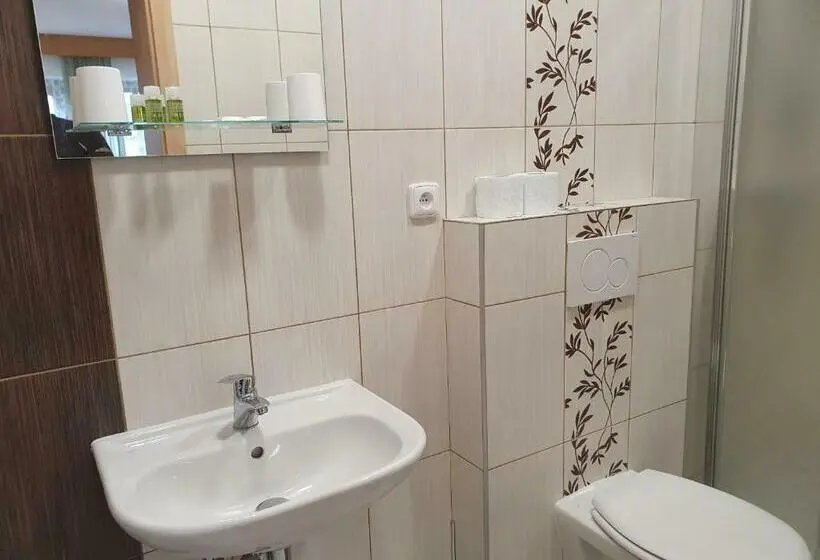 Standard-huone, Pension Zelený Strom