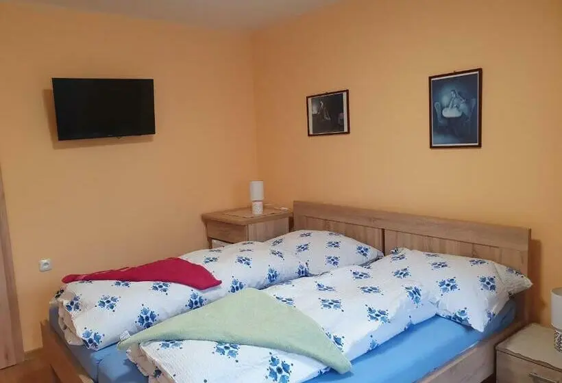 Standard-huone, Pension Zelený Strom