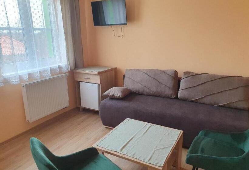 家庭间, Pension Zelený Strom