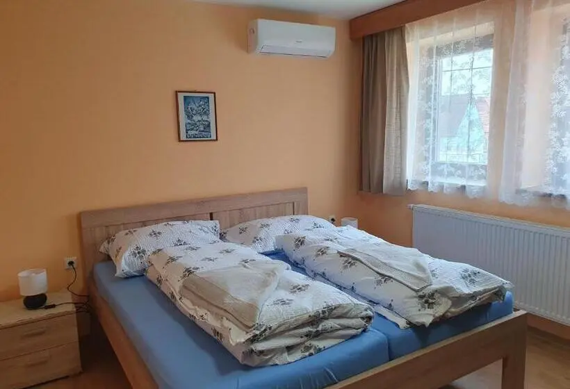 Basic Kolmen Hengen Huone, Pension Zelený Strom