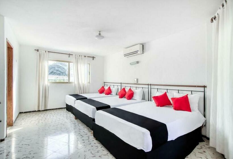 غرفة عائلية, San Carlos