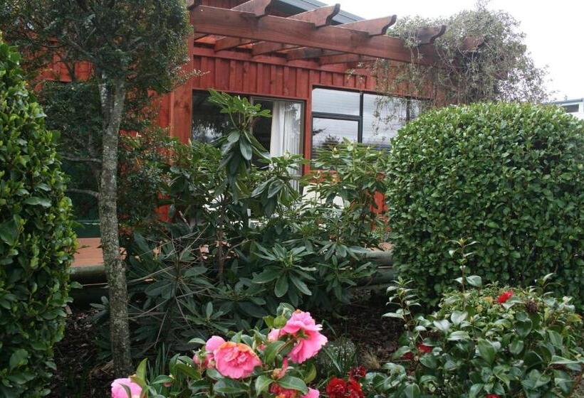 스탠다드 스튜디오 킹침대, Alpine Springs Motel