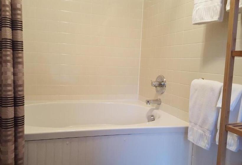 스탠다드 룸, Hummingbird Inn