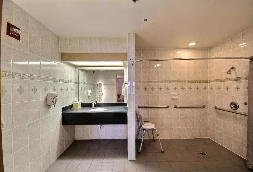 スタンダード４人部屋, Motel 6edinburg, Tx