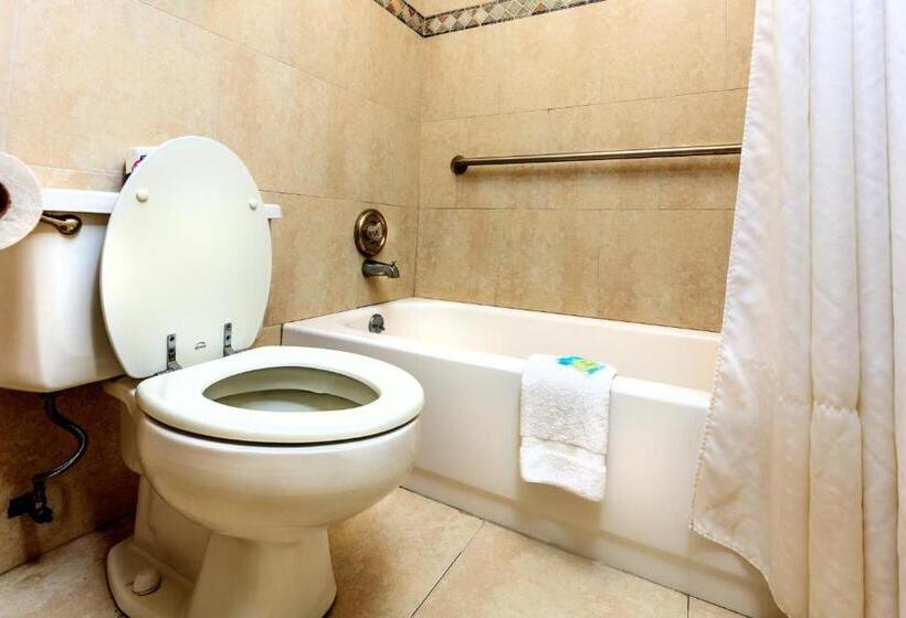 스탠다드 룸 킹사이즈 침대, Budget Host Inn Florida City