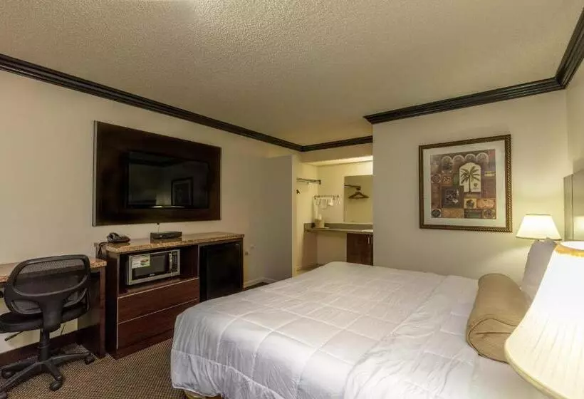 身障者適用キングサイズベッドルーム, Budget Host Inn Florida City