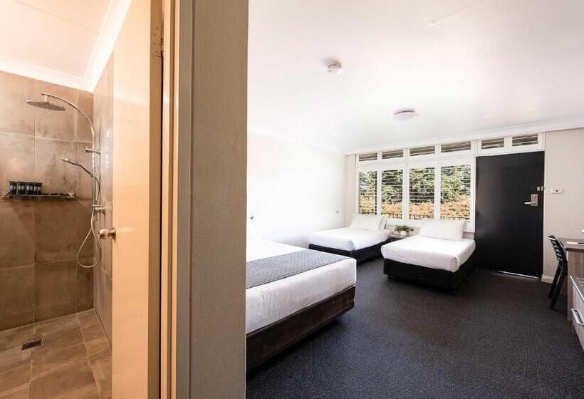 اتاق سوپریور خانوادگی, Panorama Bathurst