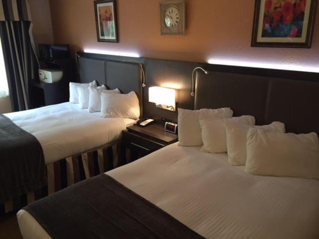 חדר סטנדרט, Prospector Hotel & Casino