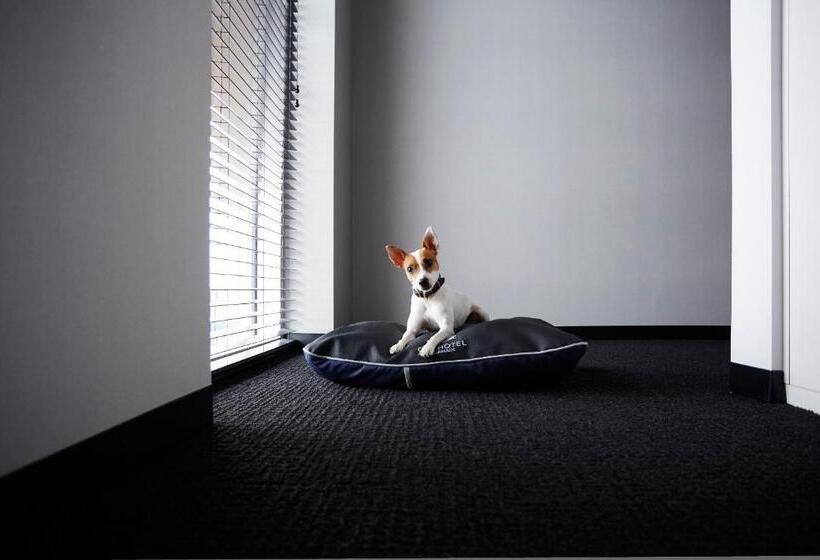 غرفة سوبيريور, Alt Hotel Winnipeg