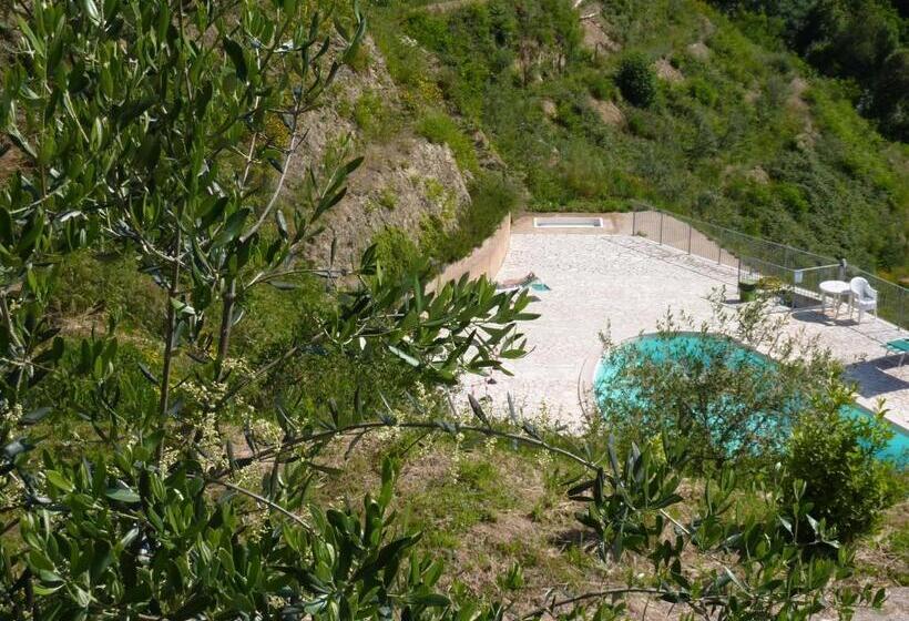 استودیوی استاندارد, Gli Ulivi Di Montalbano