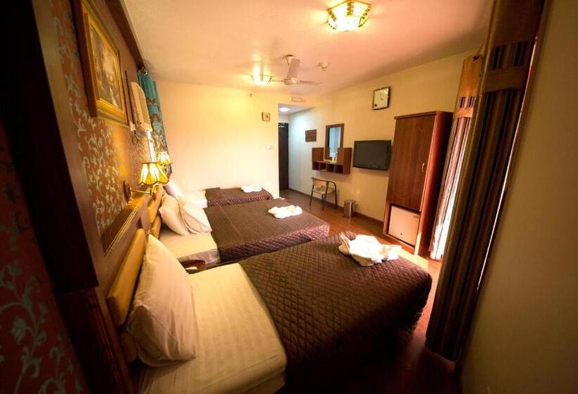 Трехместный Номер Deluxe, Downtown