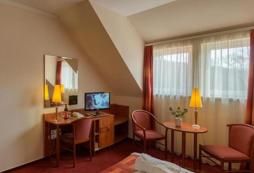 غرفة كومفورت, Erzsébet Park