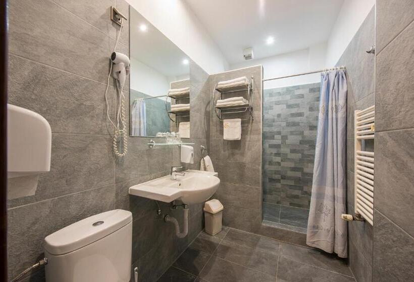 غرفة قياسية, Erzsébet Park